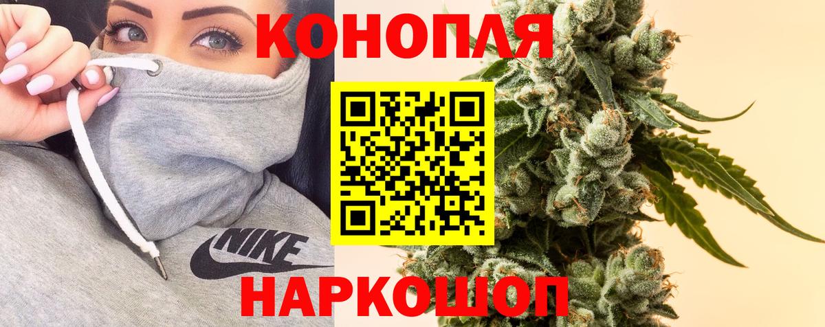 Марихуана OG Kush Губкинский